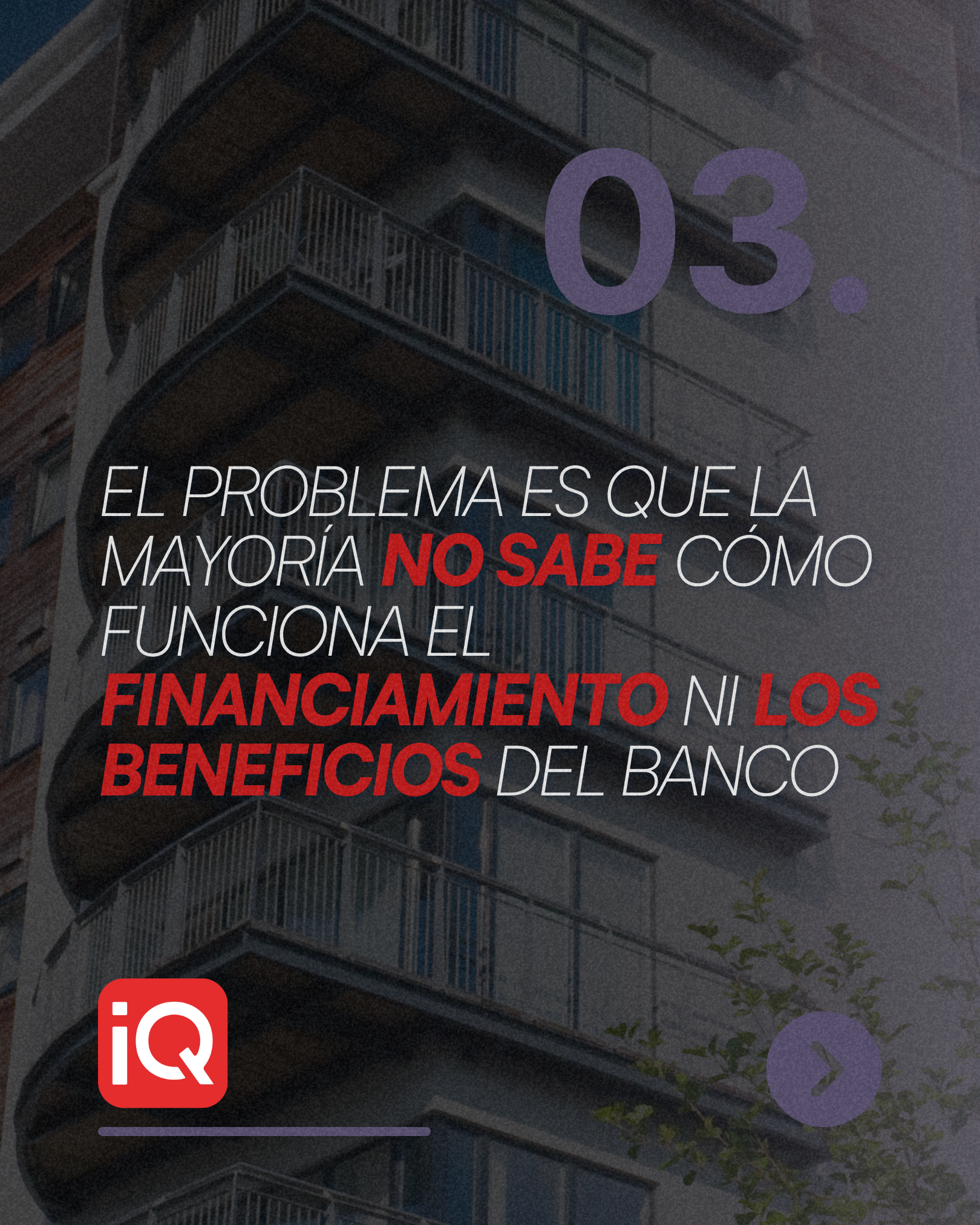 IQ (4)