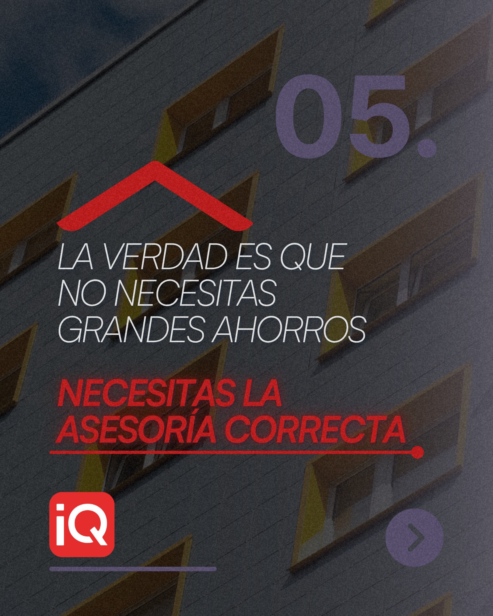 IQ (6)