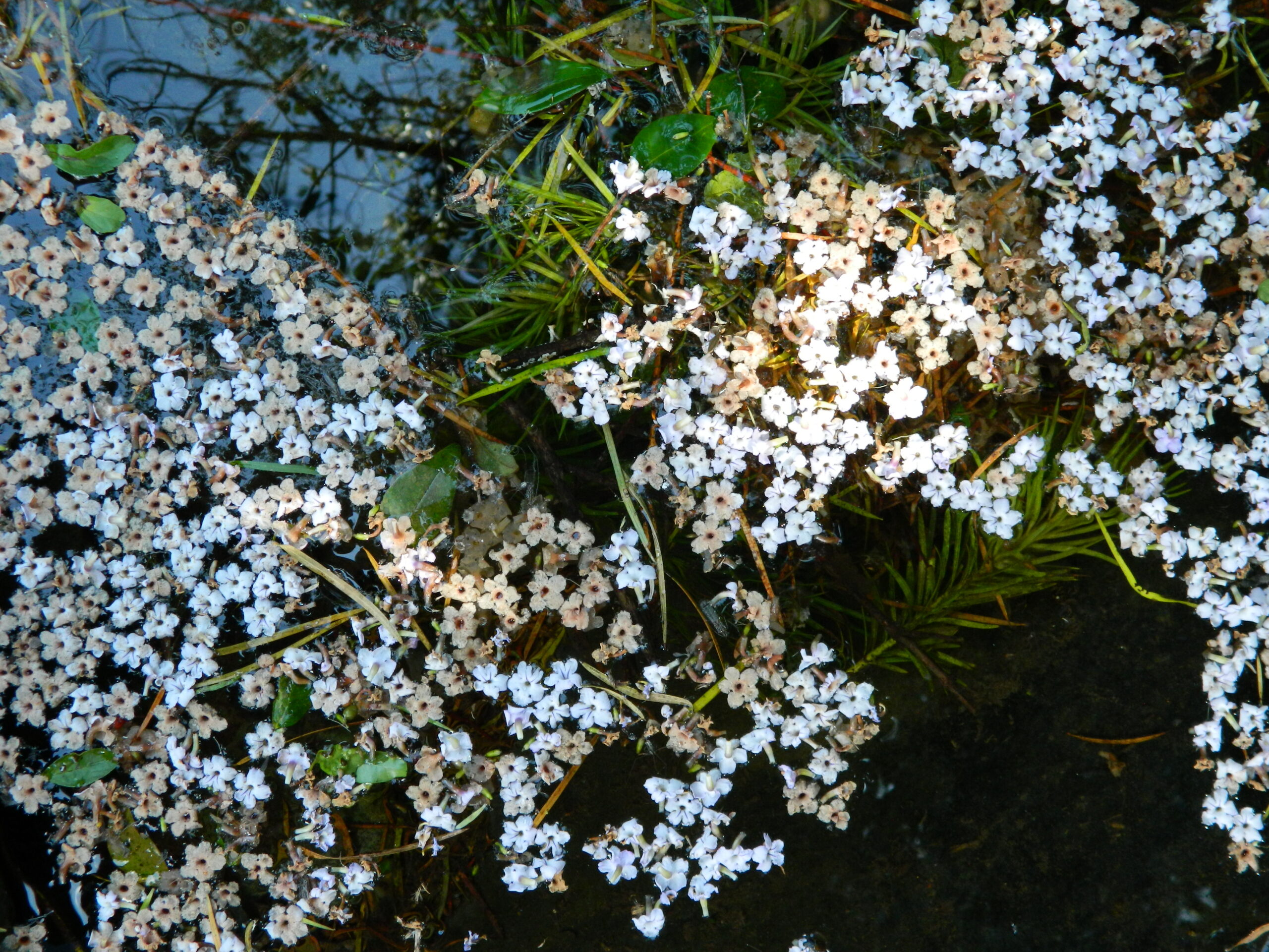 photo11